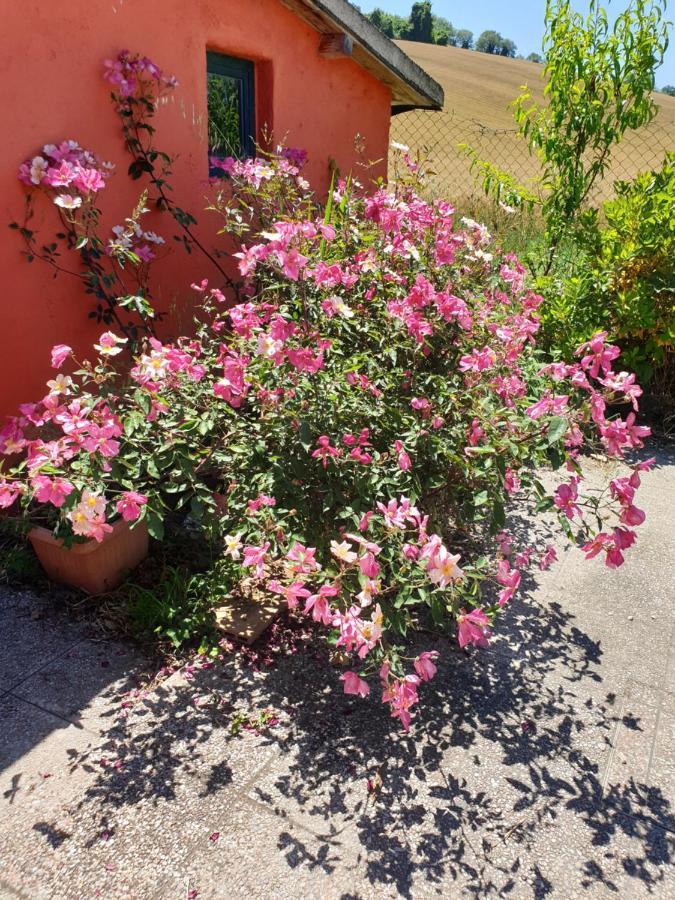 La Confluenza Casa Vacanze Appartement Osimo Buitenkant foto