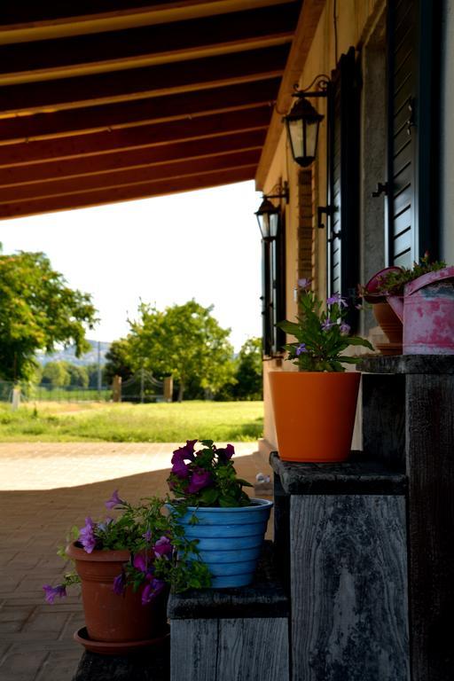 La Confluenza Casa Vacanze Appartement Osimo Kamer foto